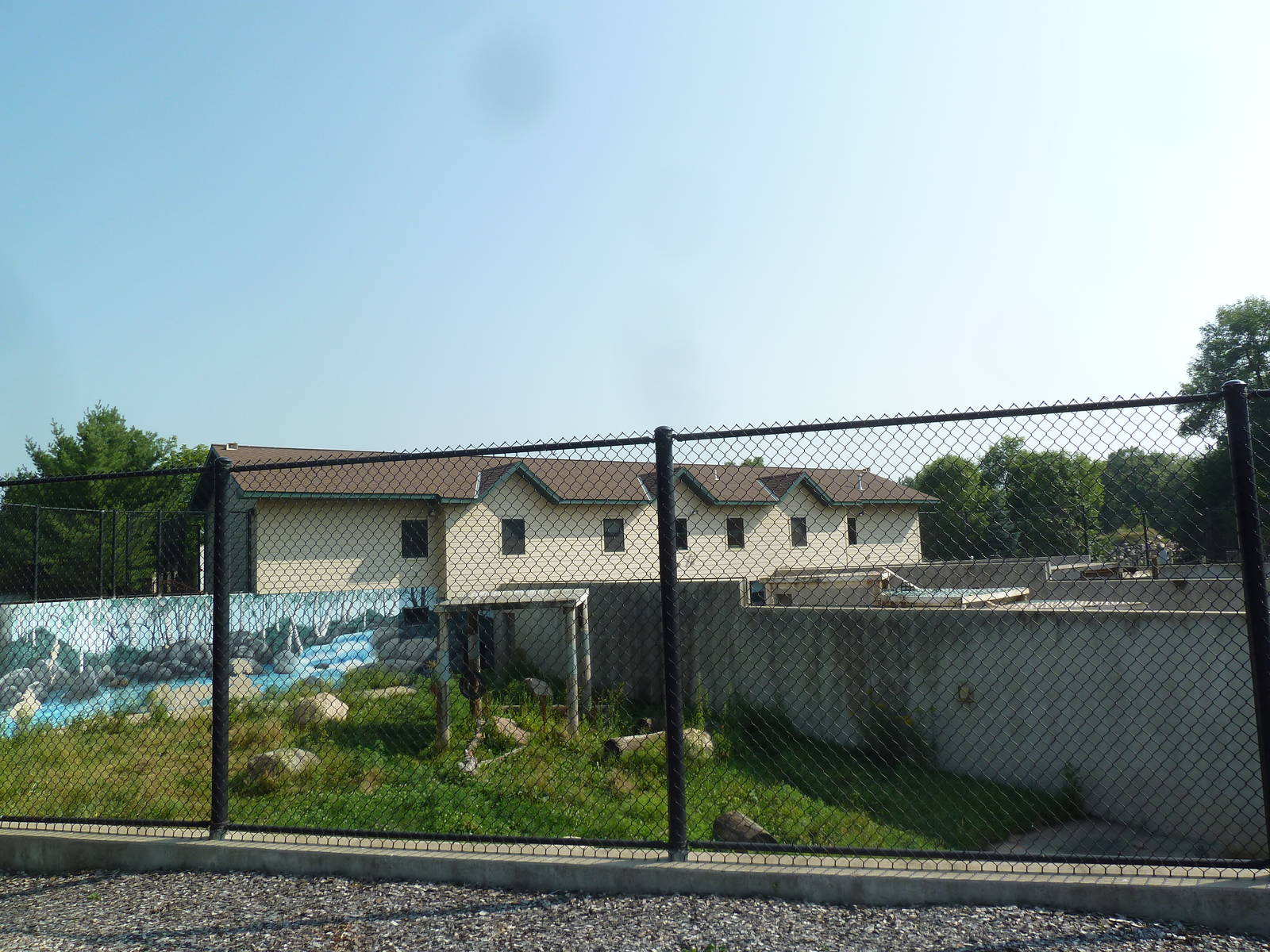 American Black Bear Exhibit