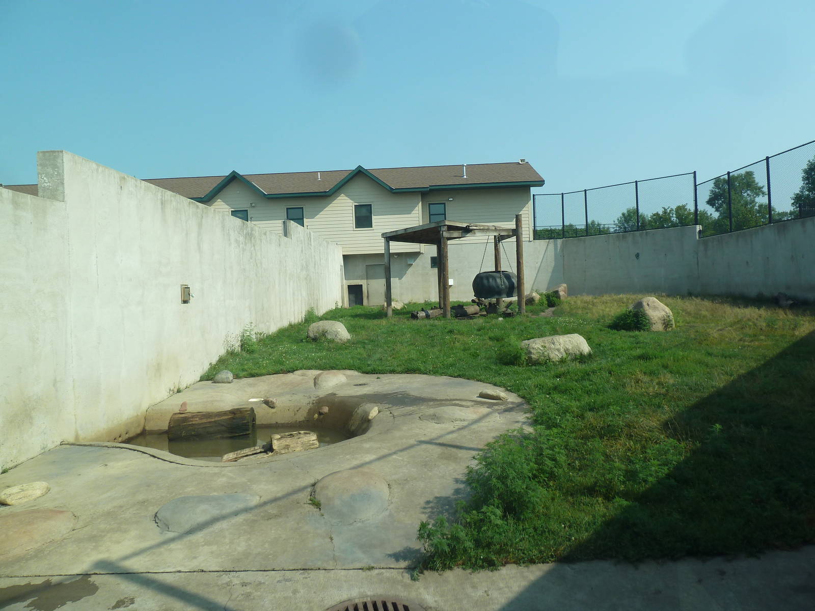 American Black Bear Exhibit