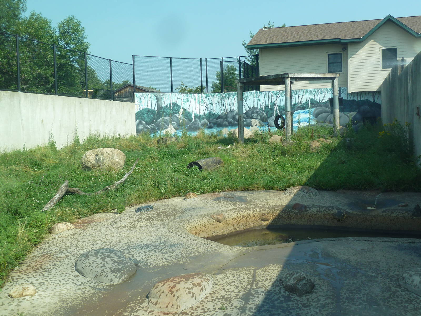 American Black Bear Exhibit