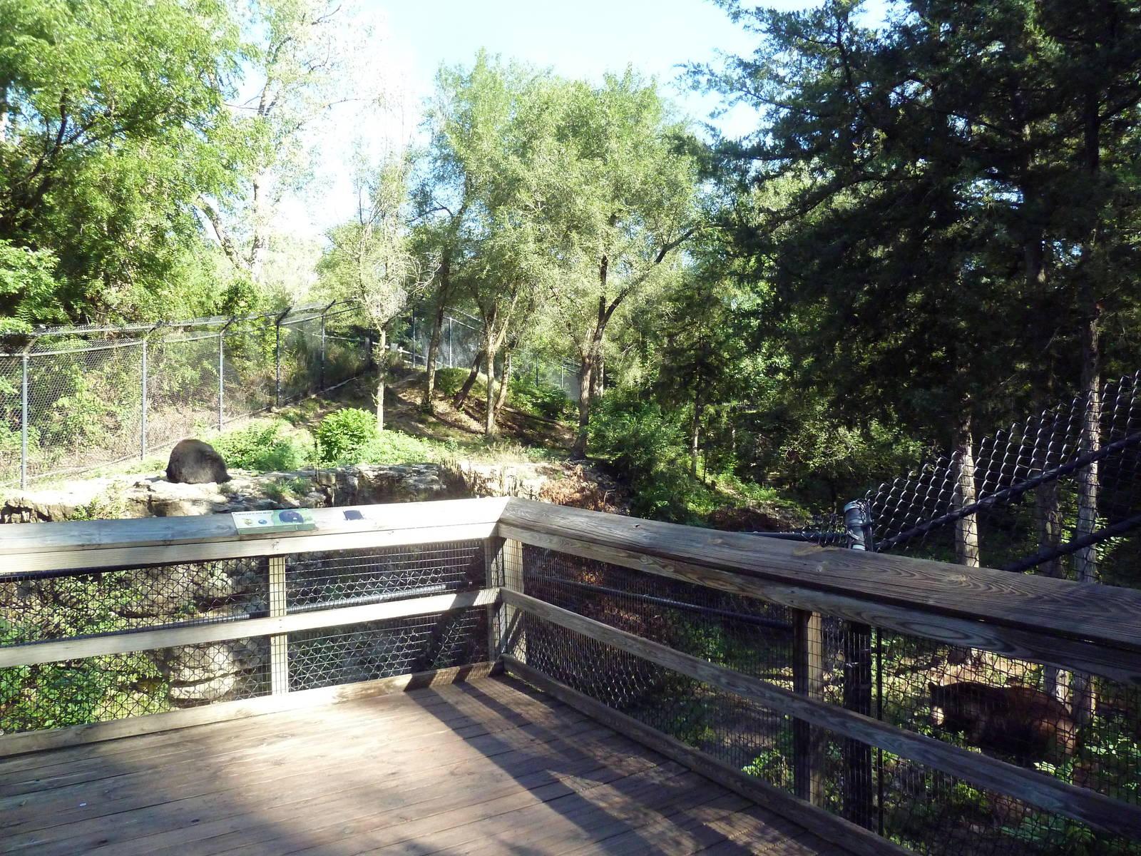 American Black Bear Exhibit