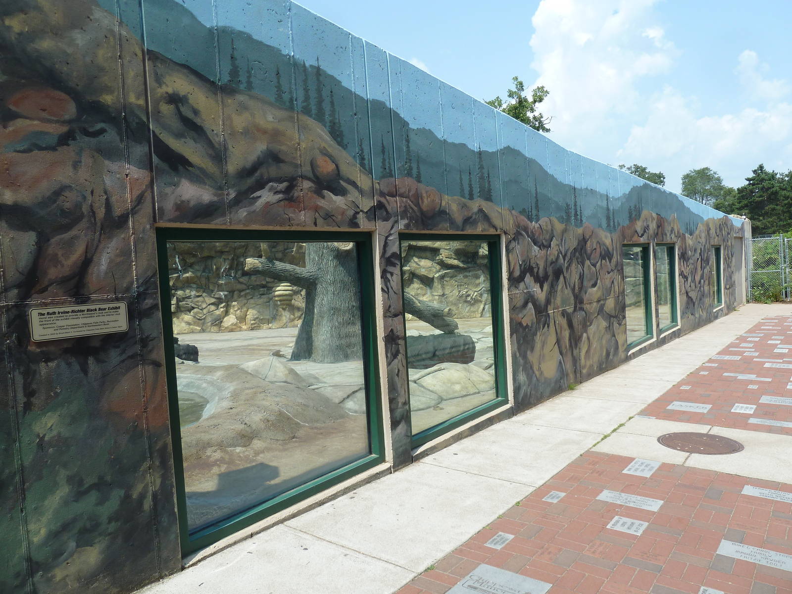 American Black Bear Exhibit