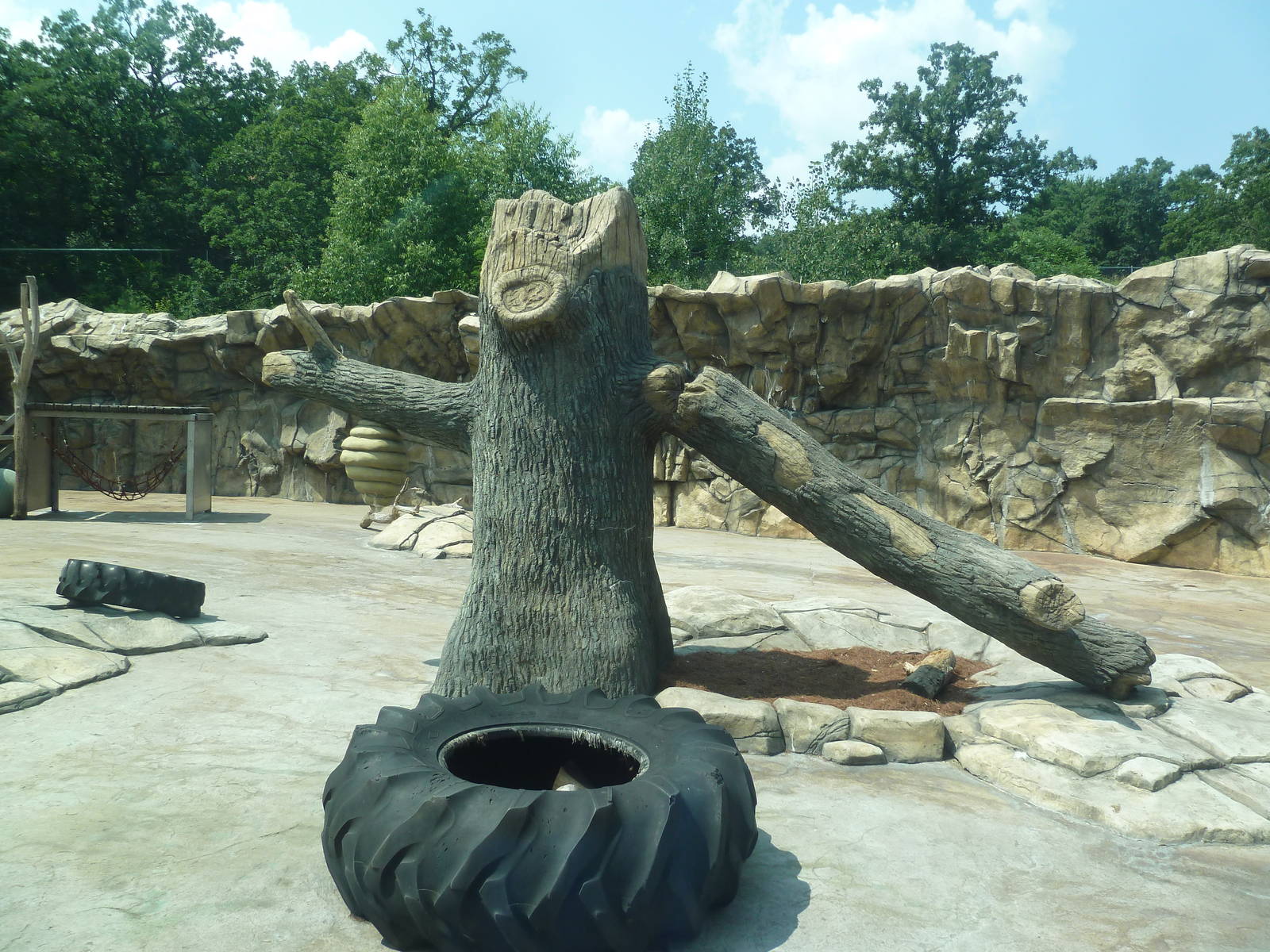 American Black Bear Exhibit