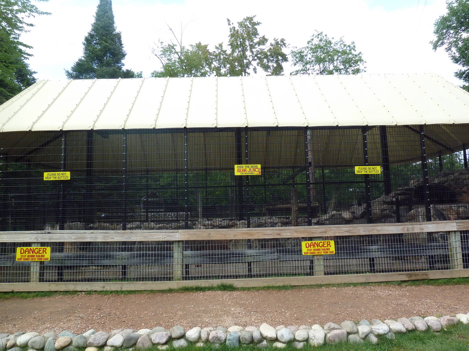 American Black Bear Exhibit