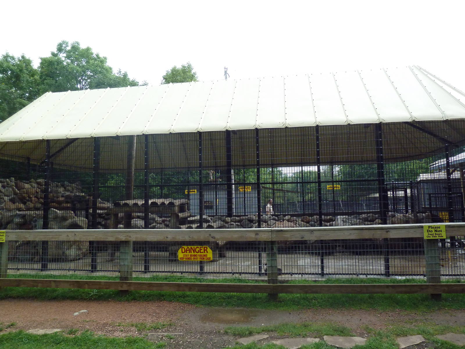 American Black Bear Exhibit