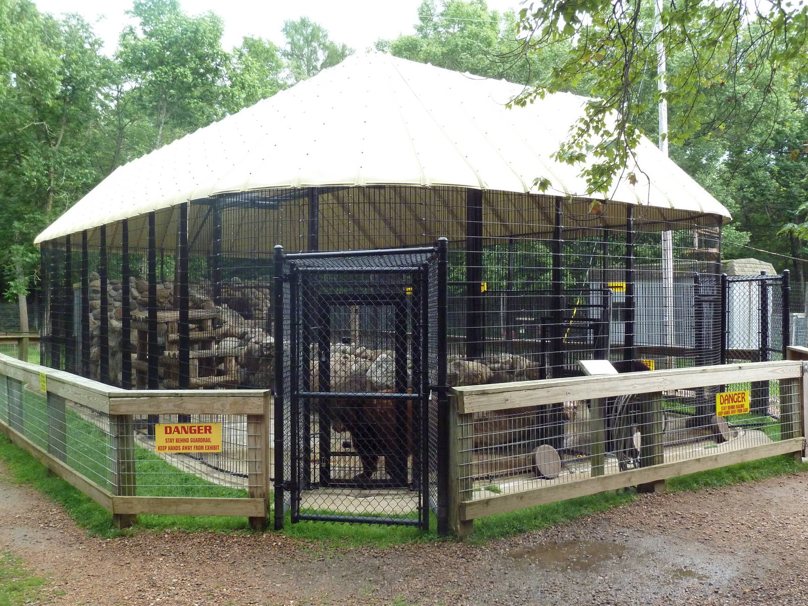 American Black Bear Exhibit