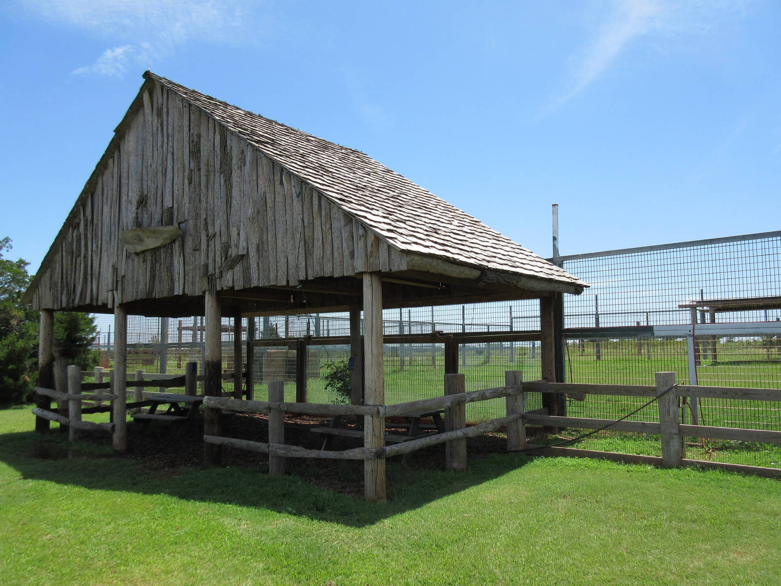 American Black Bear Exhibit