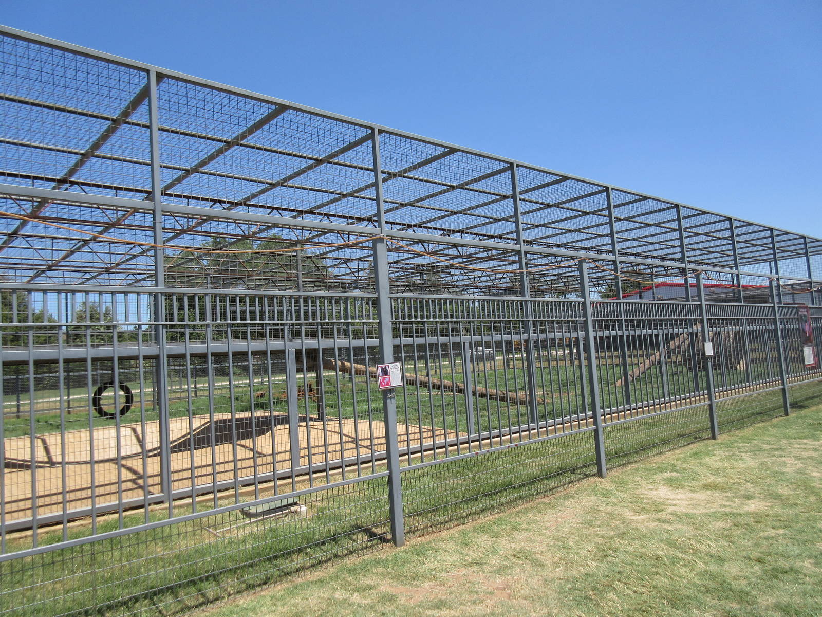 American Black Bear Exhibit