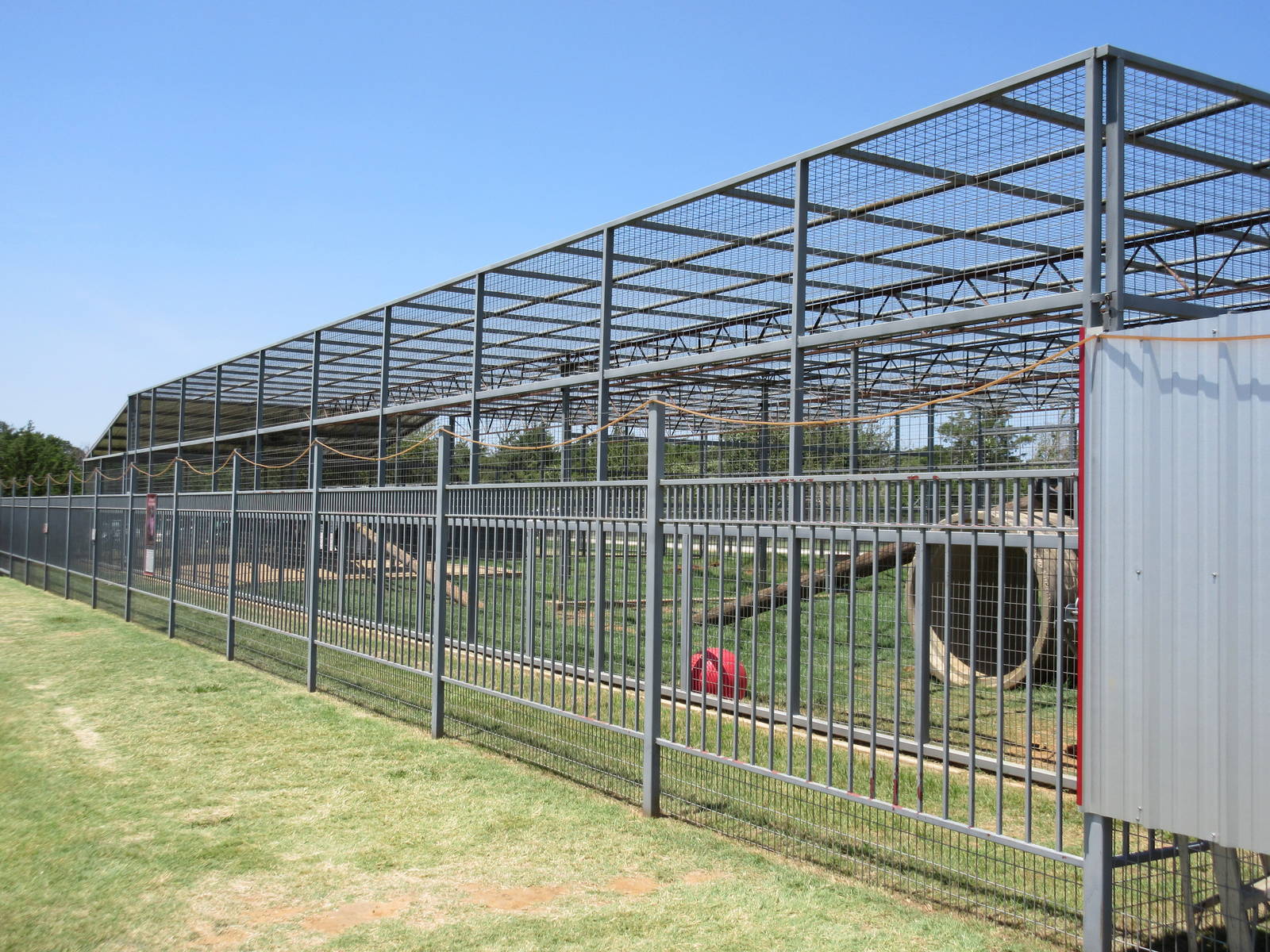 American Black Bear Exhibit