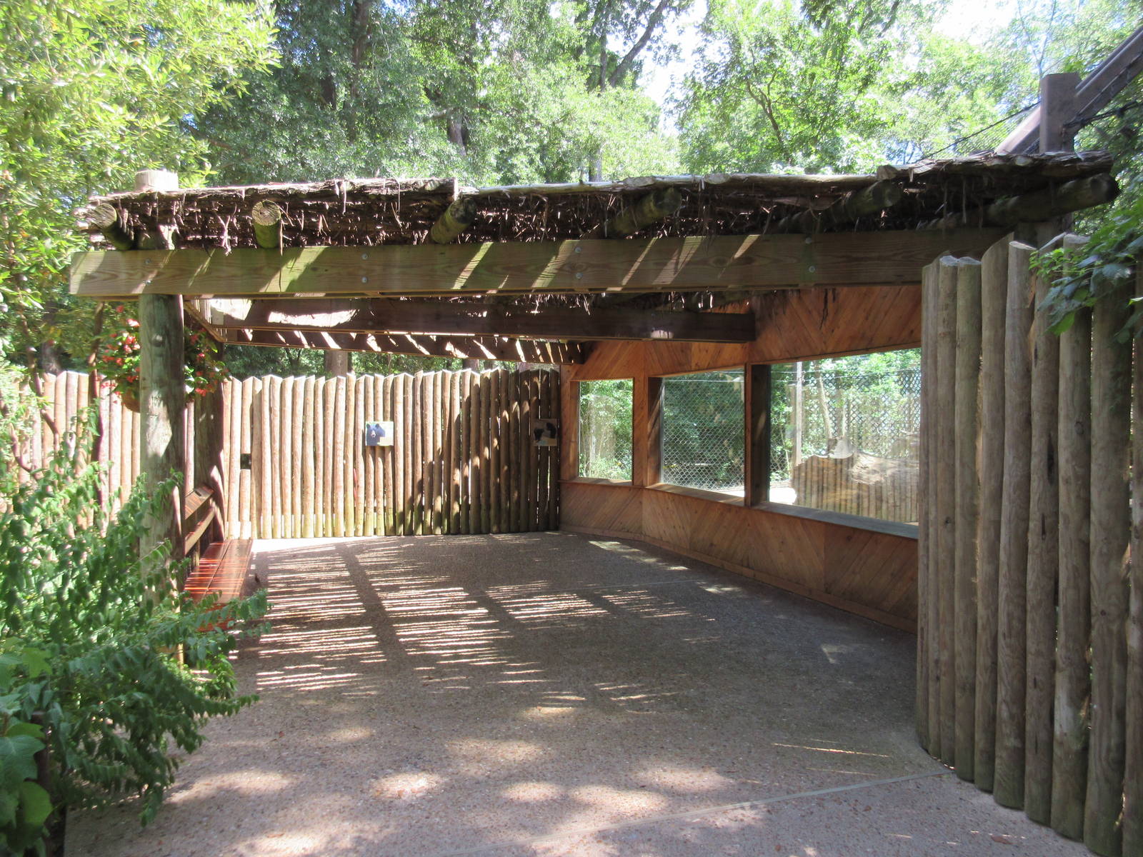 American Black Bear Exhibit