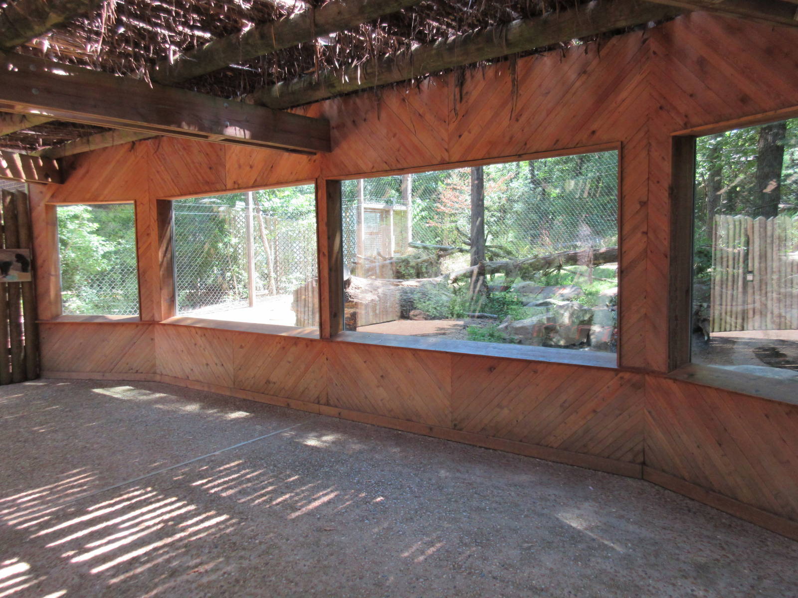 American Black Bear Exhibit