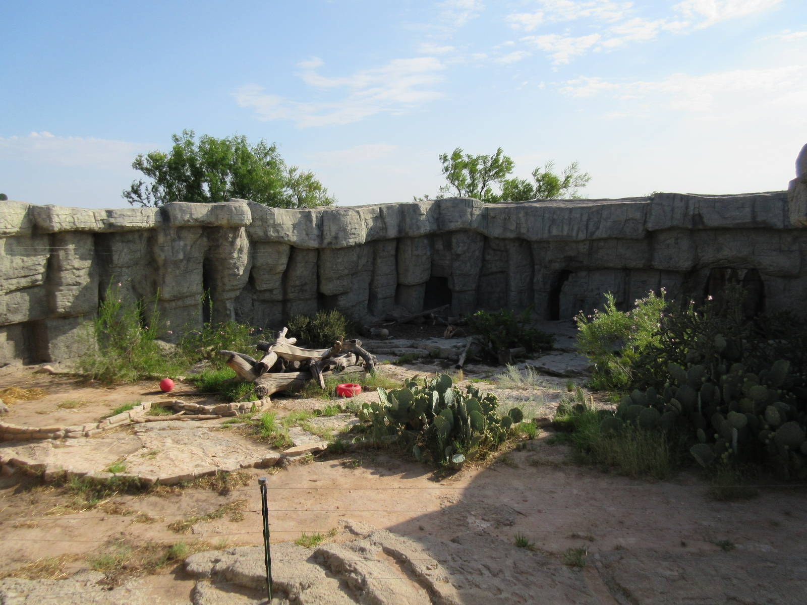 American Black Bear Exhibit
