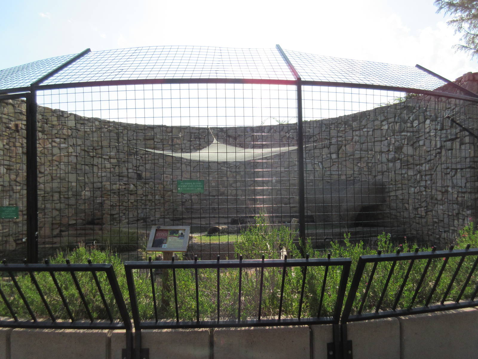 American Black Bear Exhibit