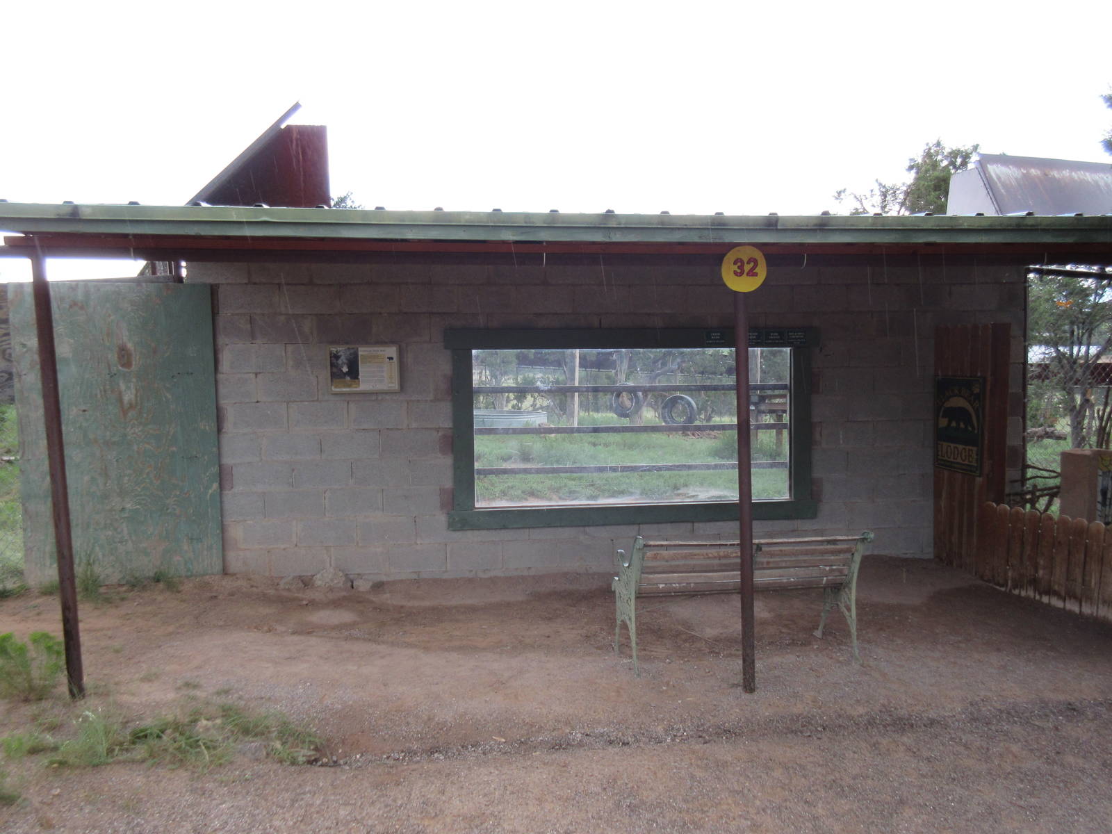 American Black Bear Exhibit