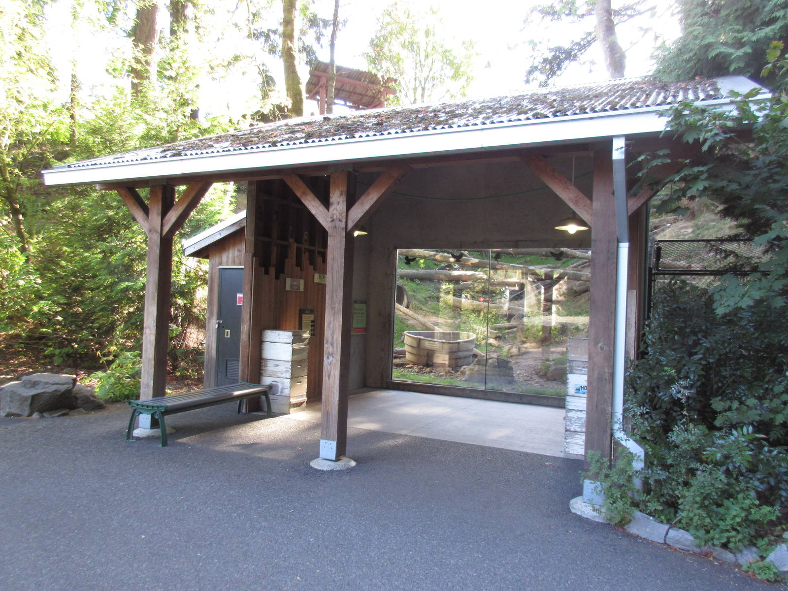 American Black Bear Exhibit