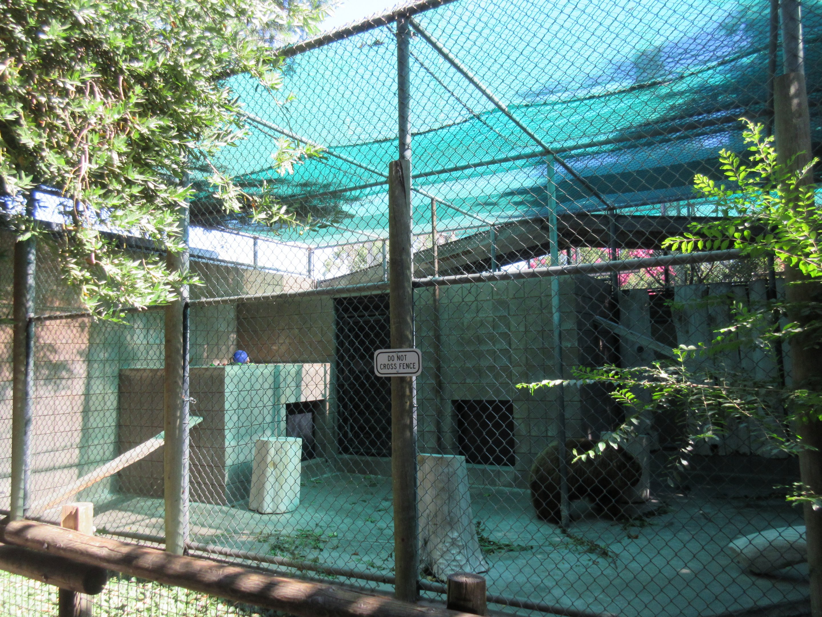 American Black Bear Exhibit