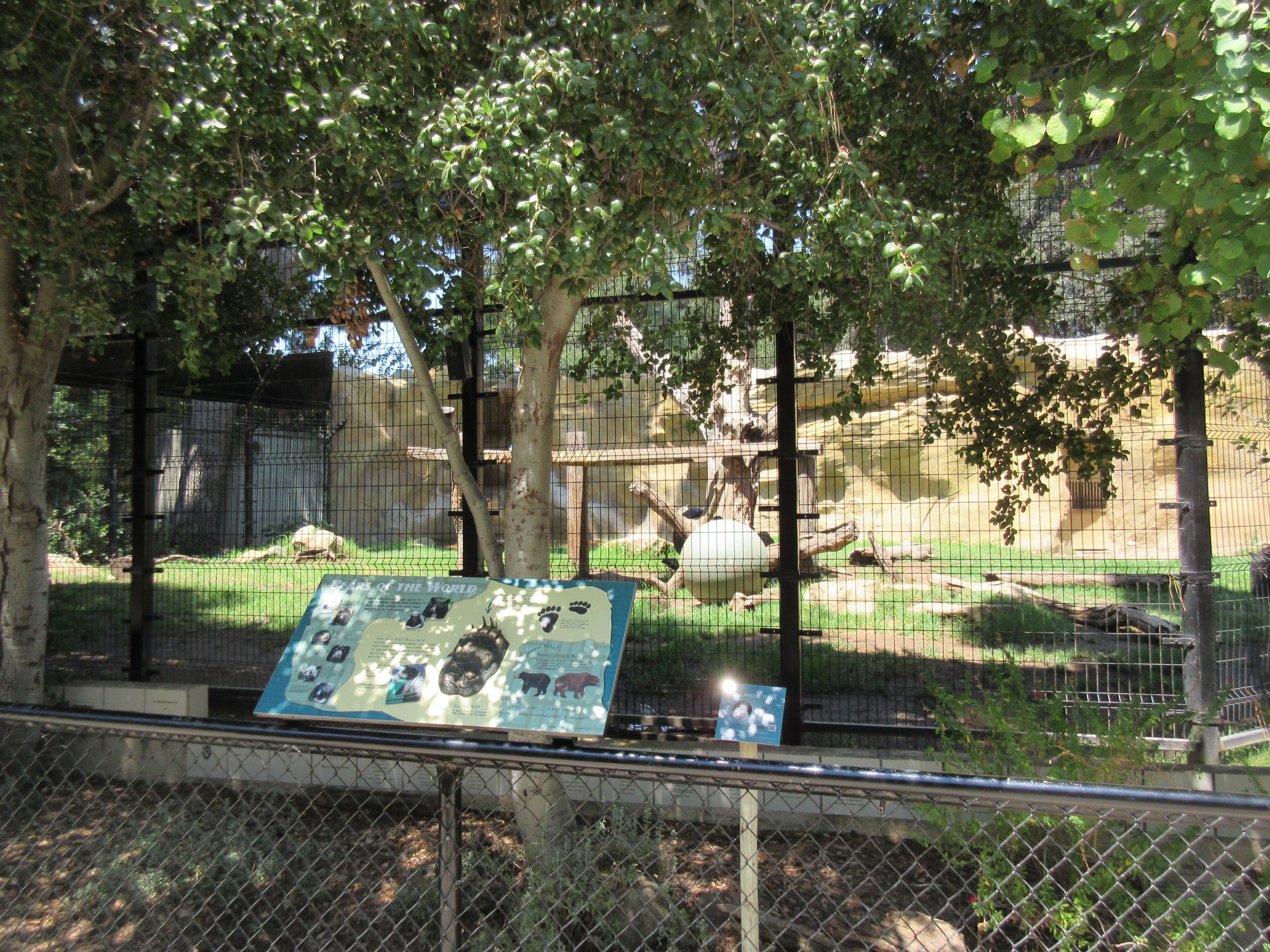 American Black Bear Exhibit