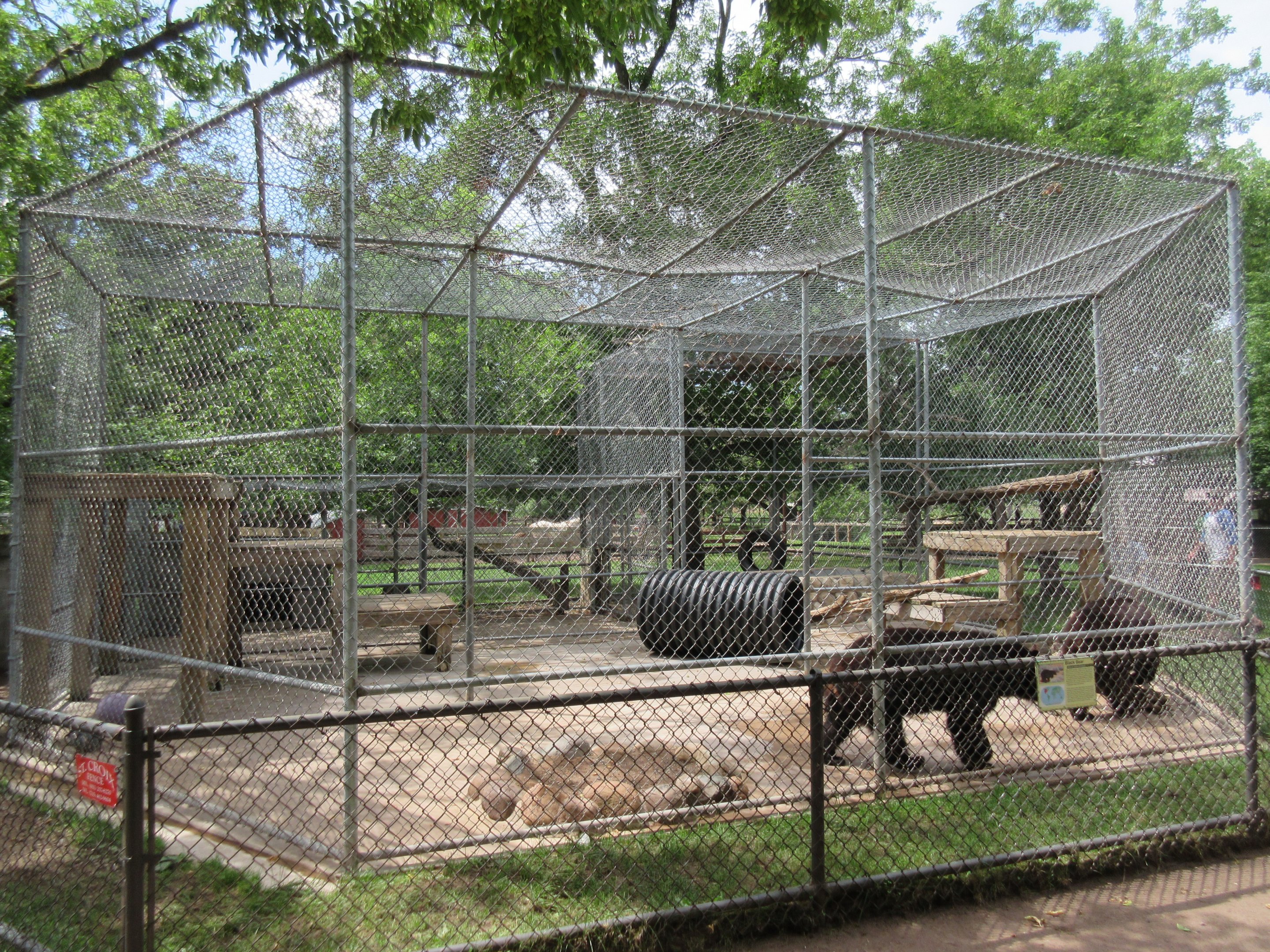 American Black Bear Exhibit