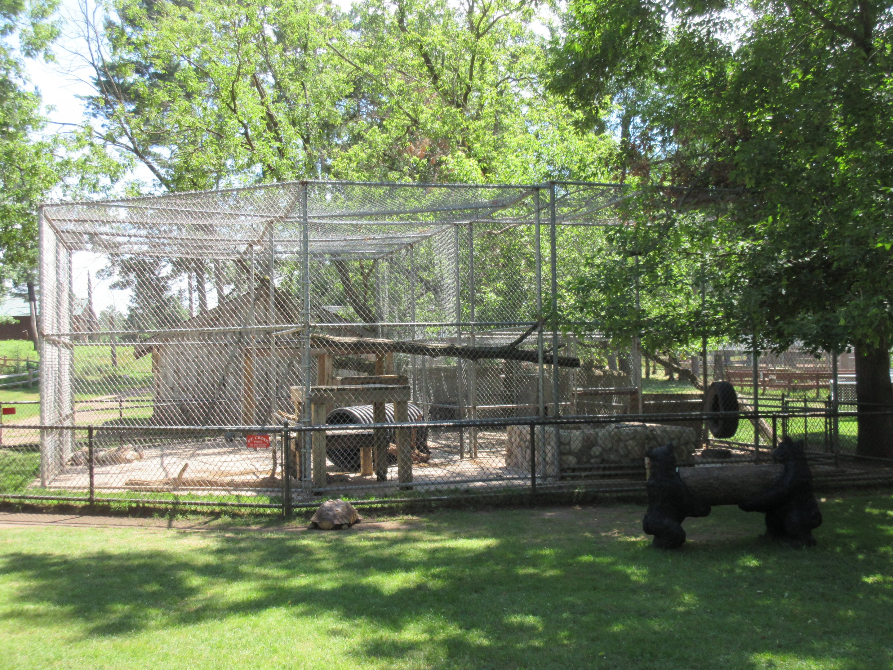 American Black Bear Exhibit