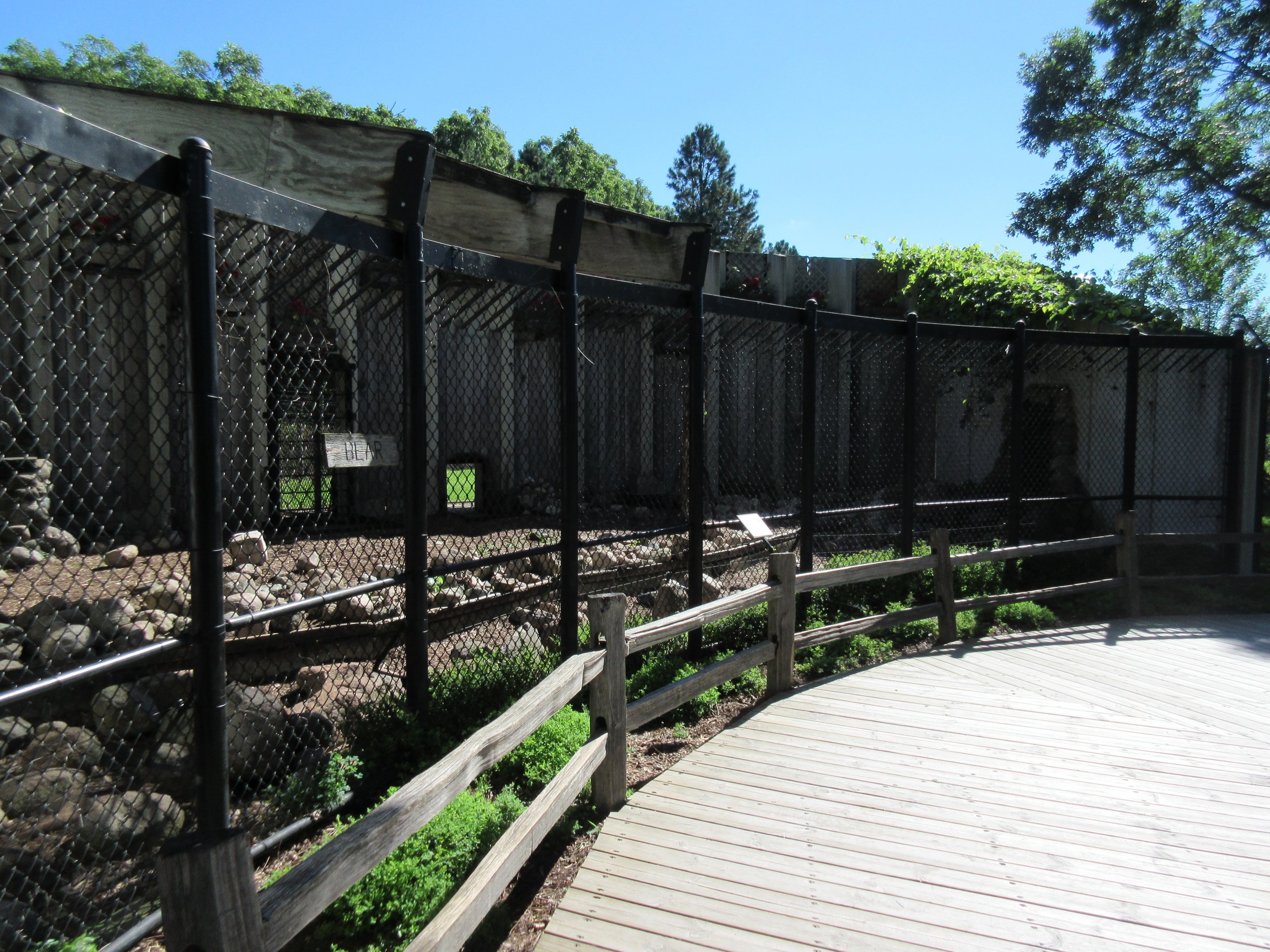 American Black Bear Exhibit