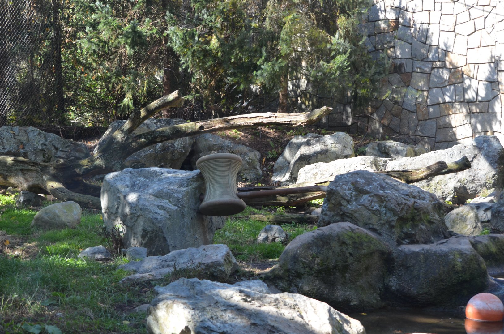 American Black Bear Exhibit