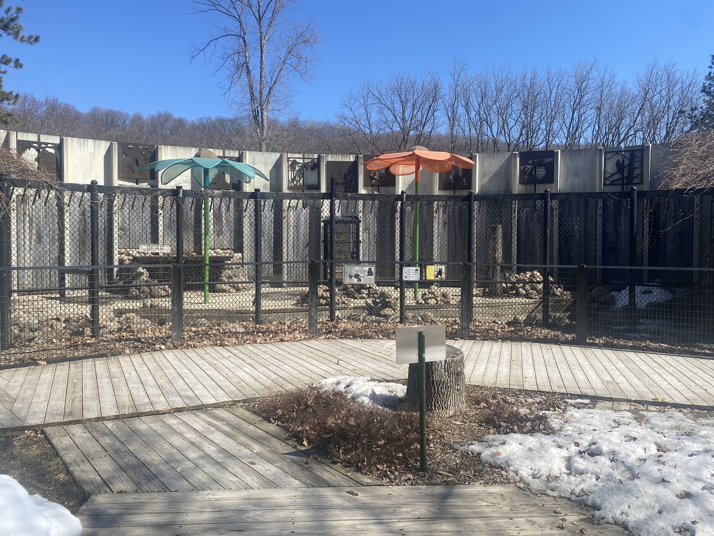 American Black Bear Exhibit