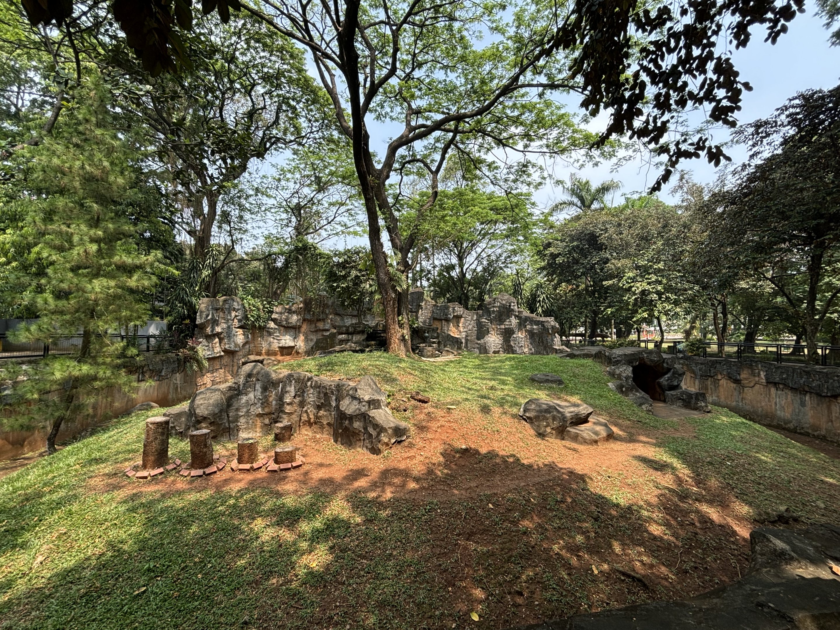 American Black Bear Exhibit
