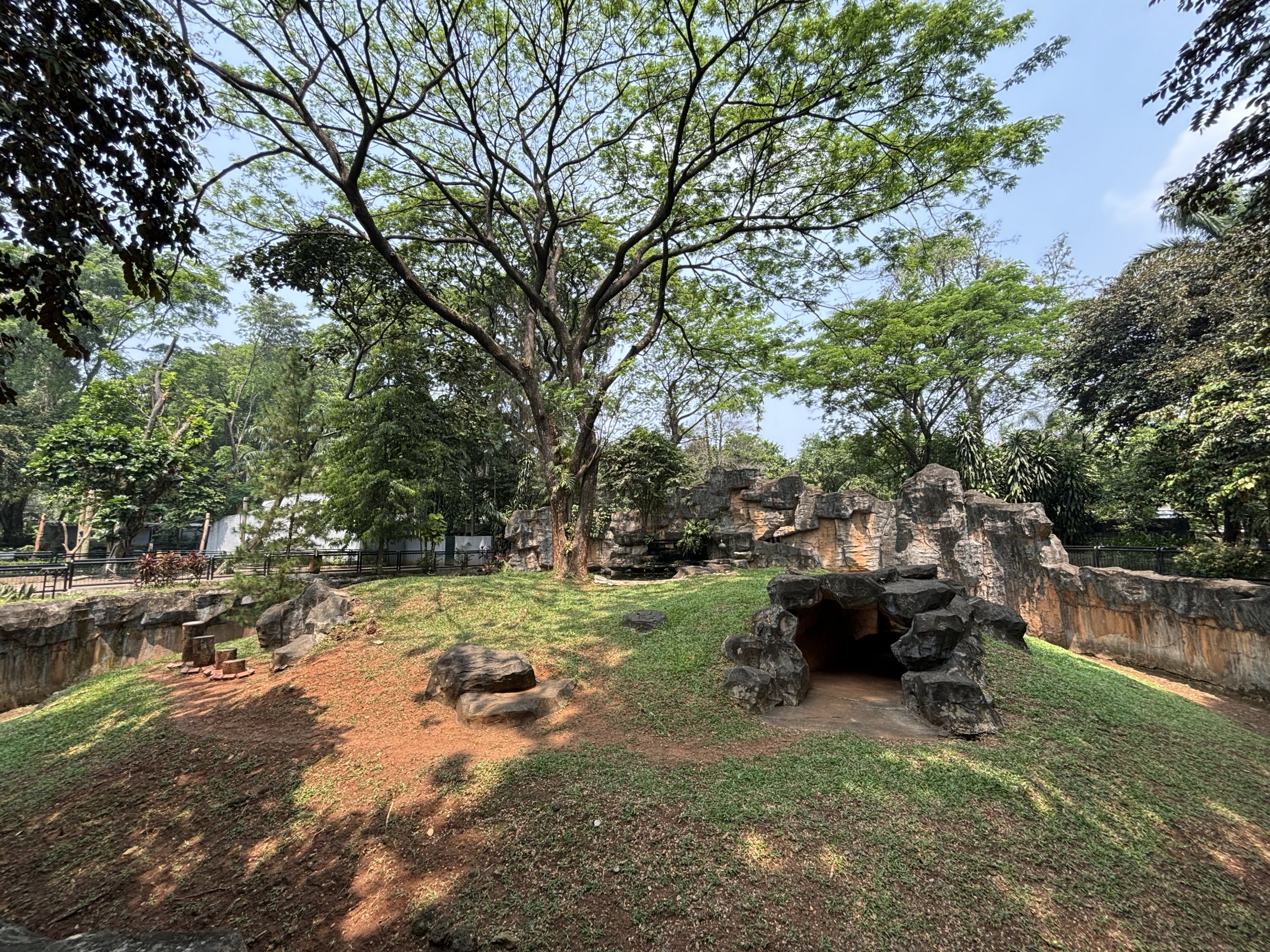 American Black Bear Exhibit