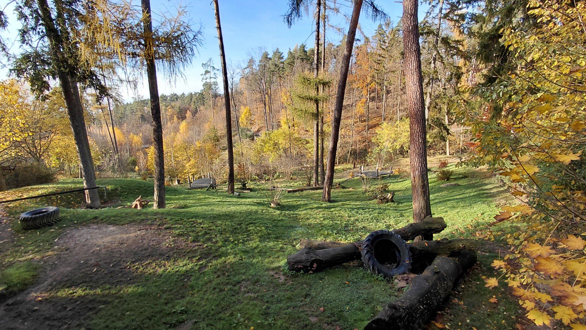 American black bear exhibit