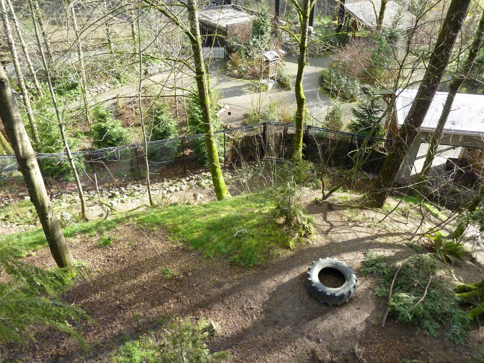 American Black Bear Exhibit