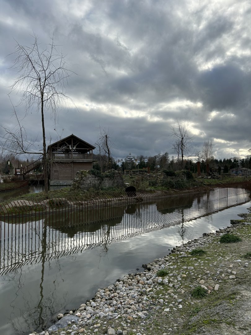 American black bear exhibit