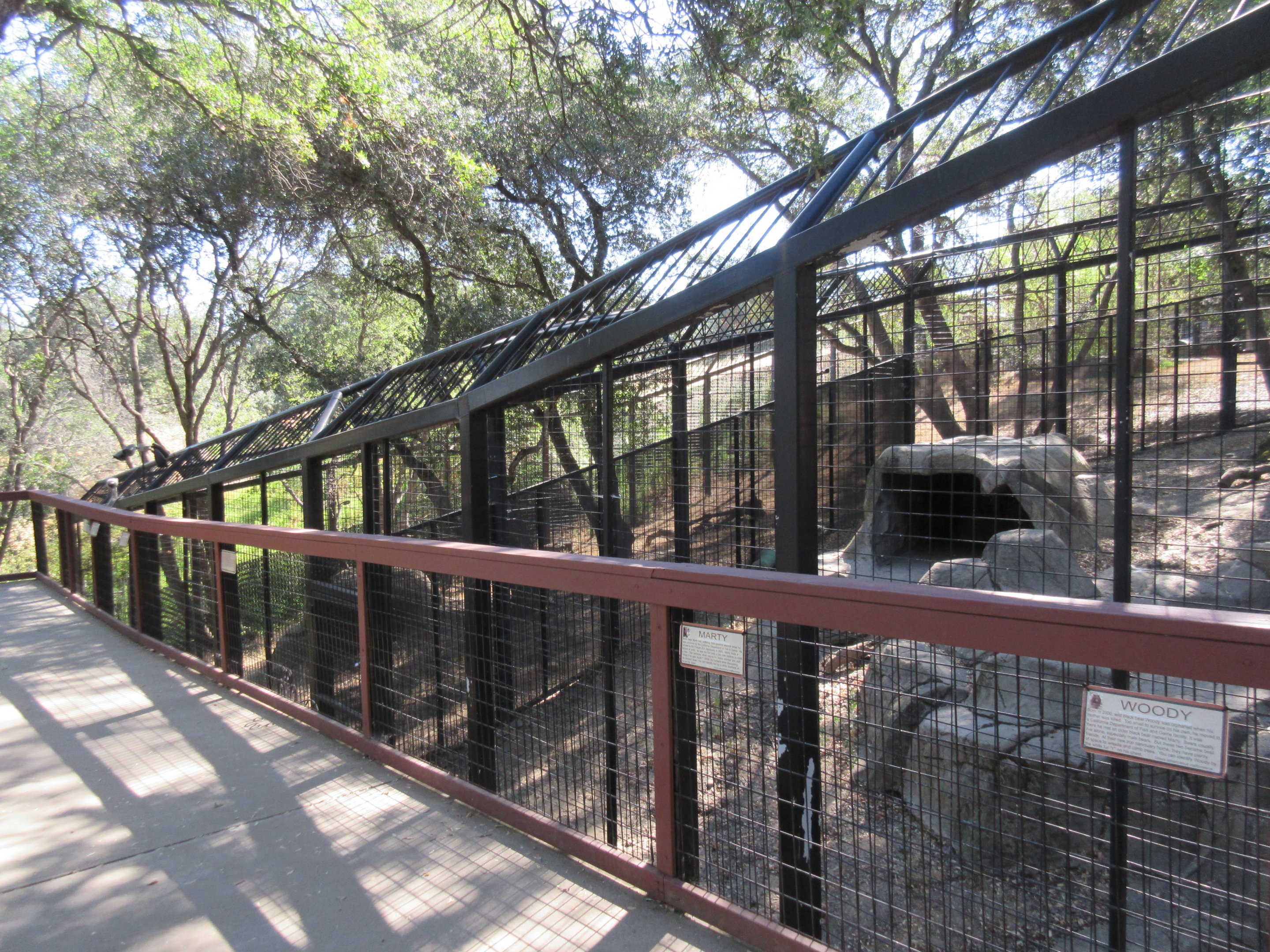 American Black Bear Exhibits #2 + #3