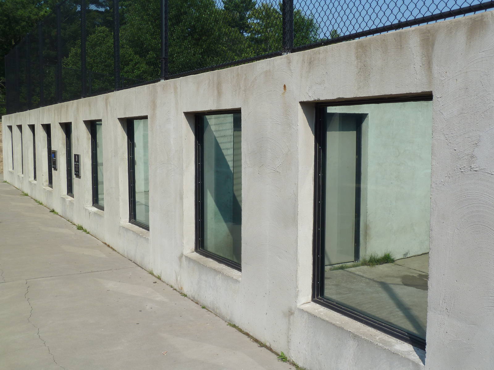 American Black Bear Exhibits (3 of them)