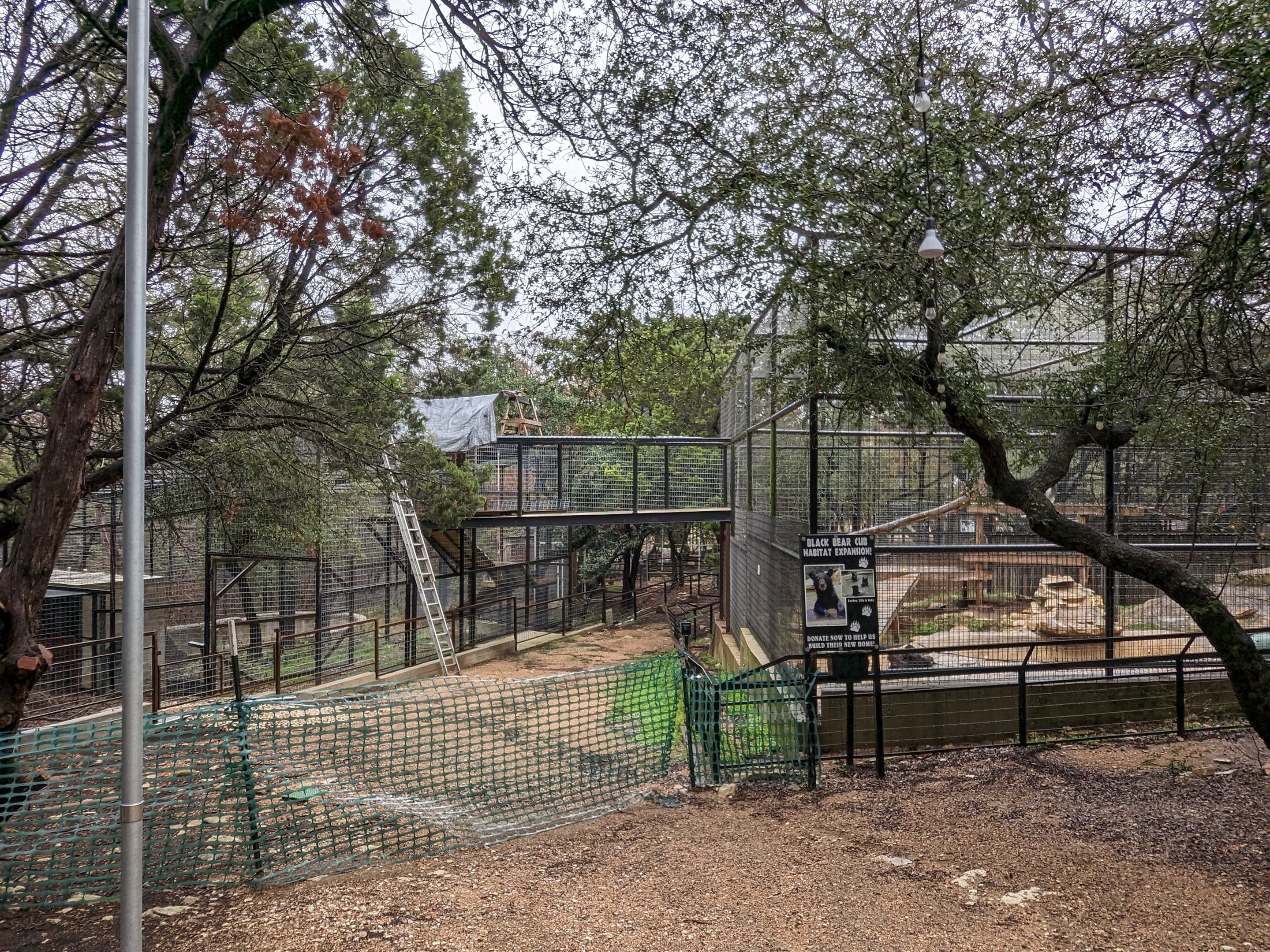 American black bear habitat under constuction