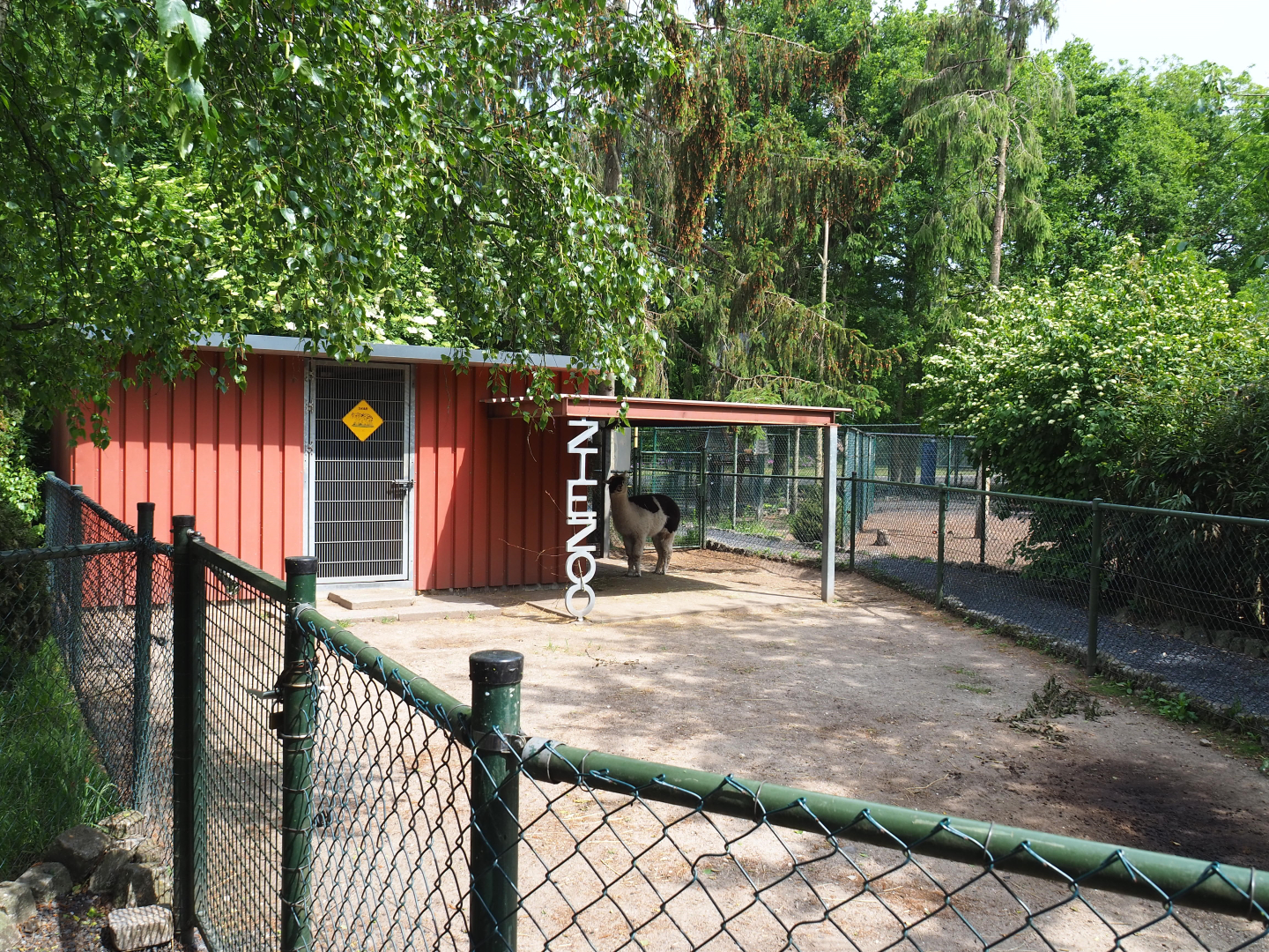 American black bear holding building, Alpaca shelter and Part of alpaca paddock, 2022-05-17