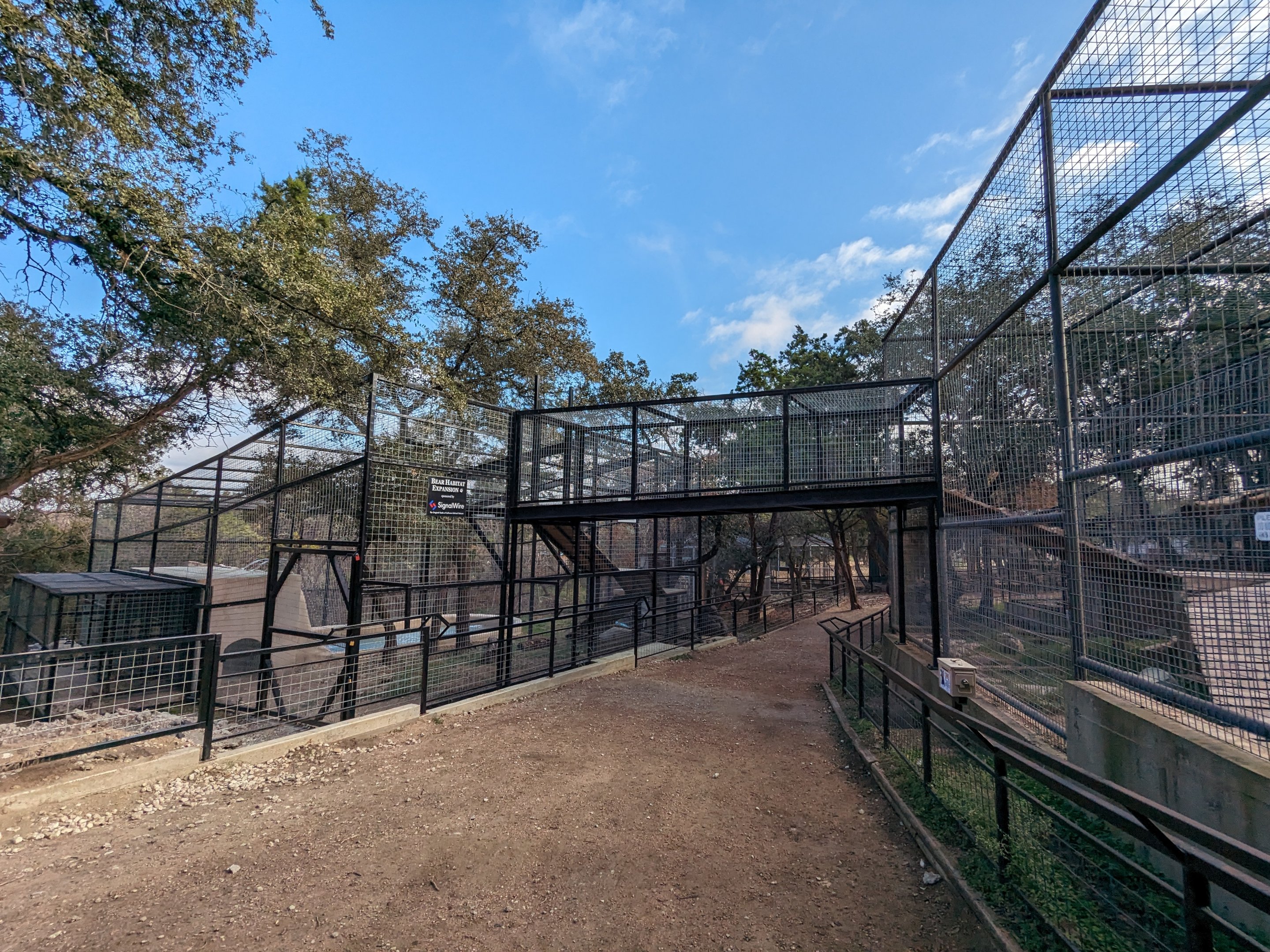 American black bear - new habitat bear bridge
