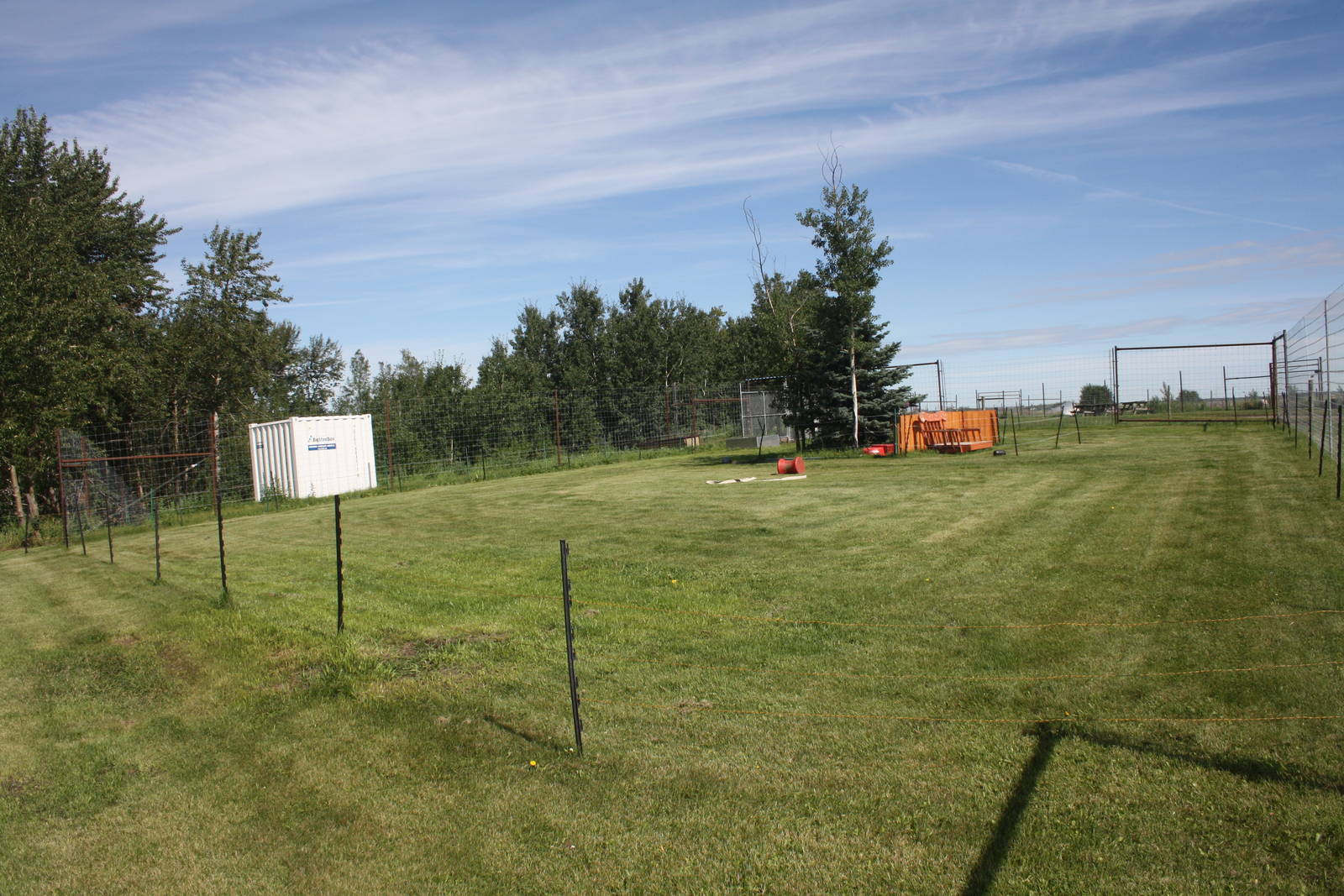 American Black Bear Presentation Area