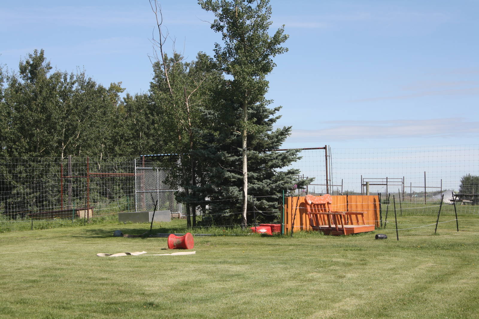 American Black Bear Presentation Area