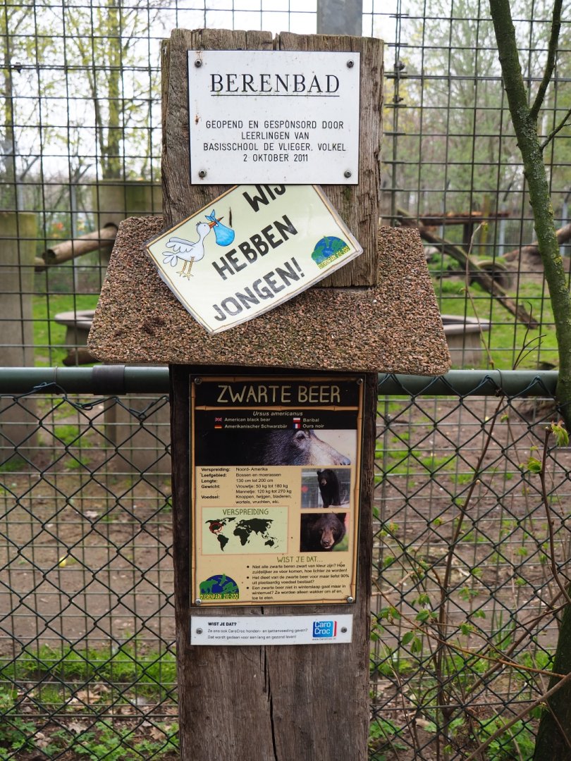 American black bear signage, 2019-04-06