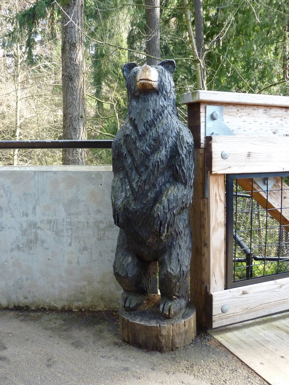 American Black Bear Statue