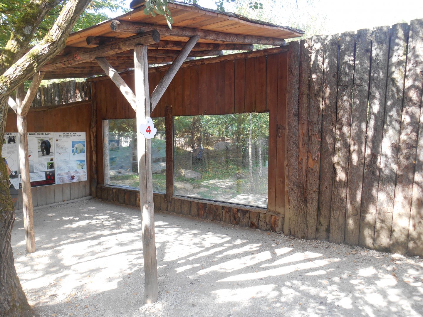 American Black Bears Exhibit