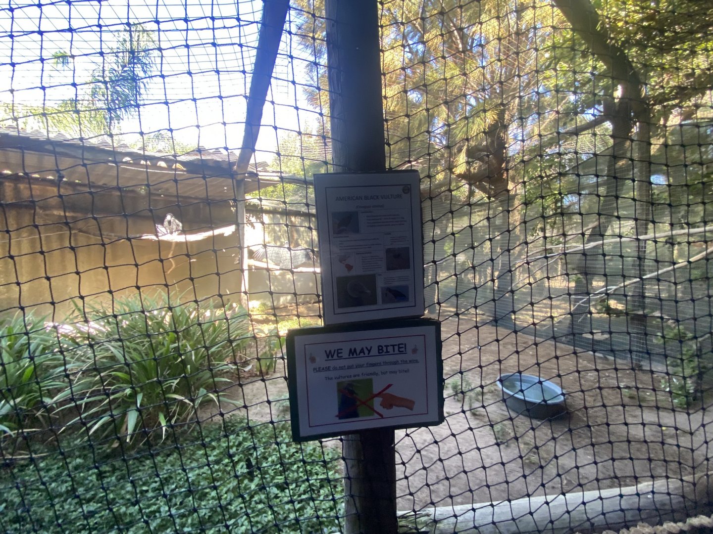 American Black Vulture Exhibit