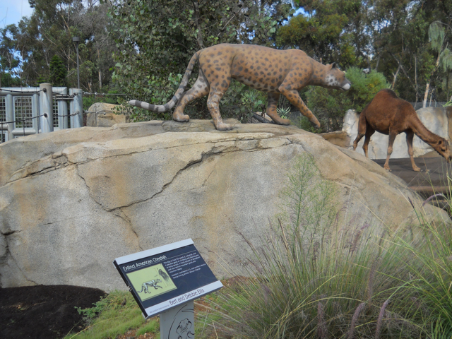 American Cheetah statue Elephant Odyssey