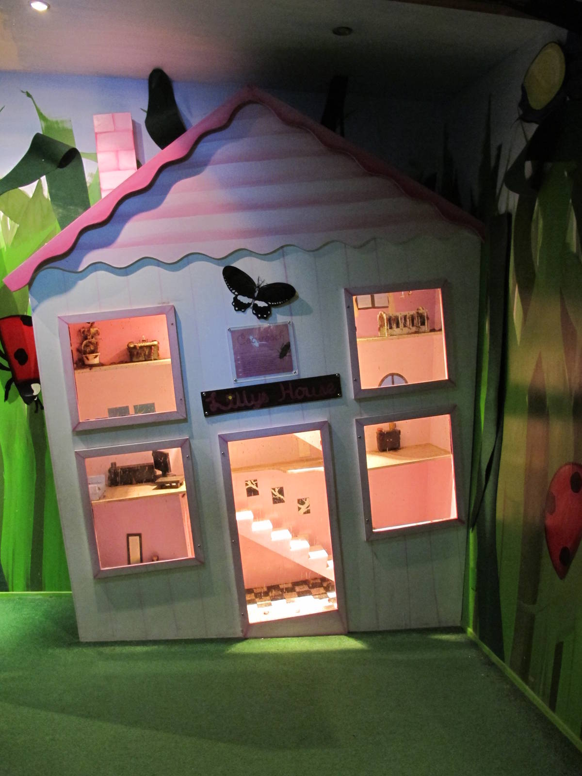 American Cockroach House - Butterfly Creek 2011