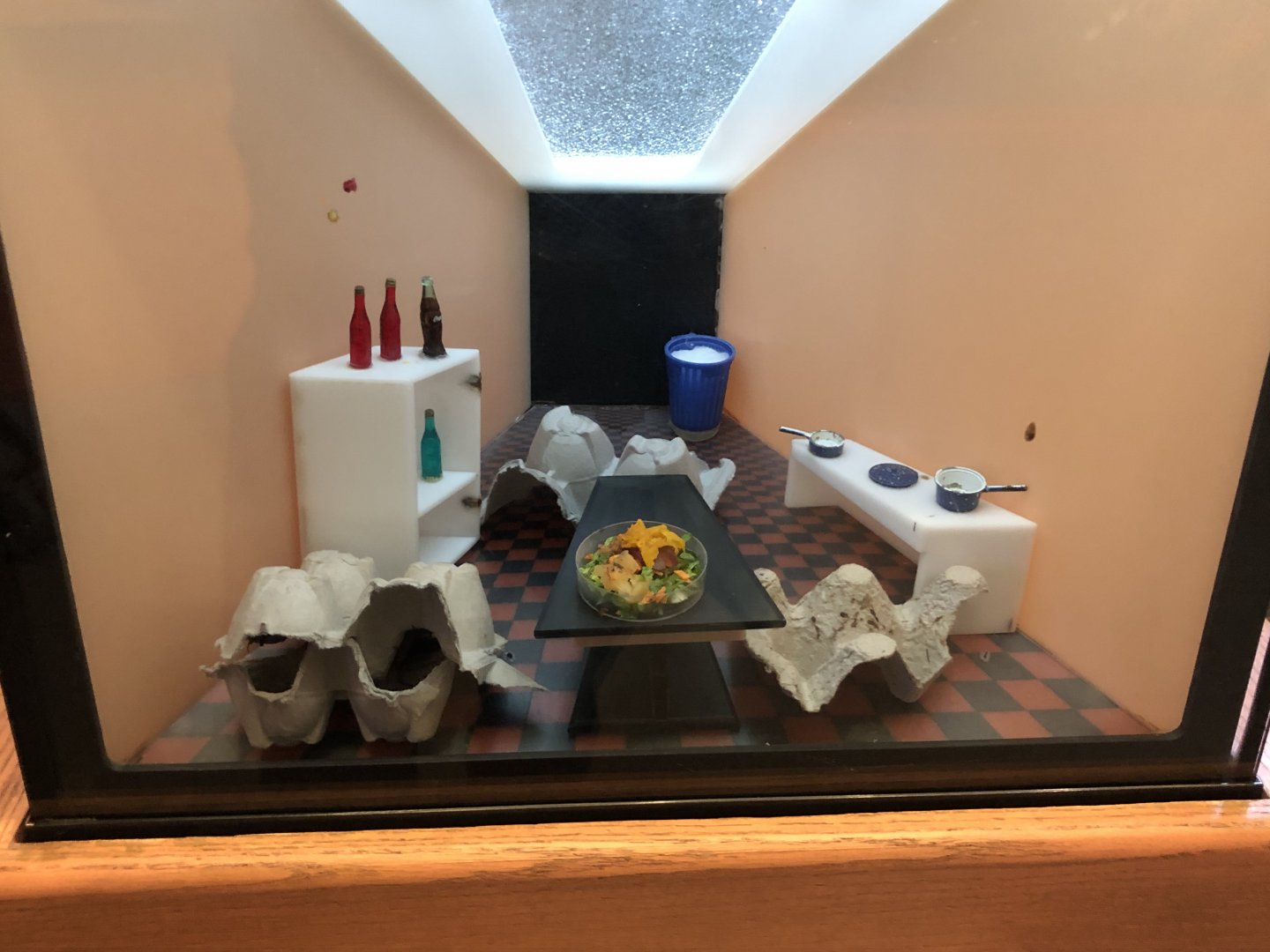 American cockroach tank