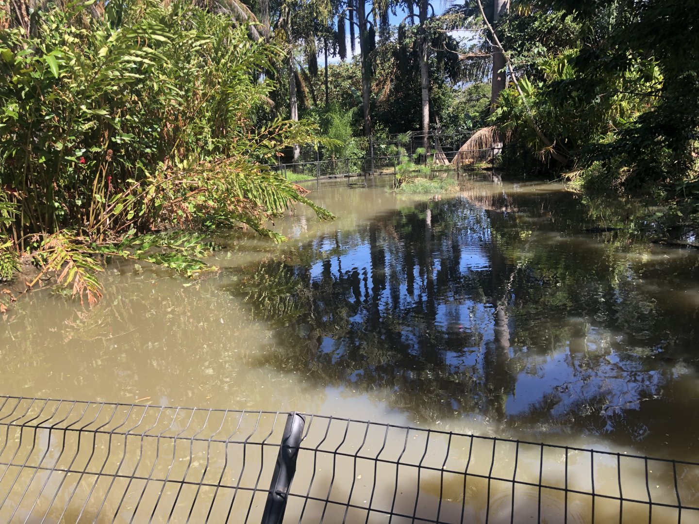 American Crocodile Enclosure