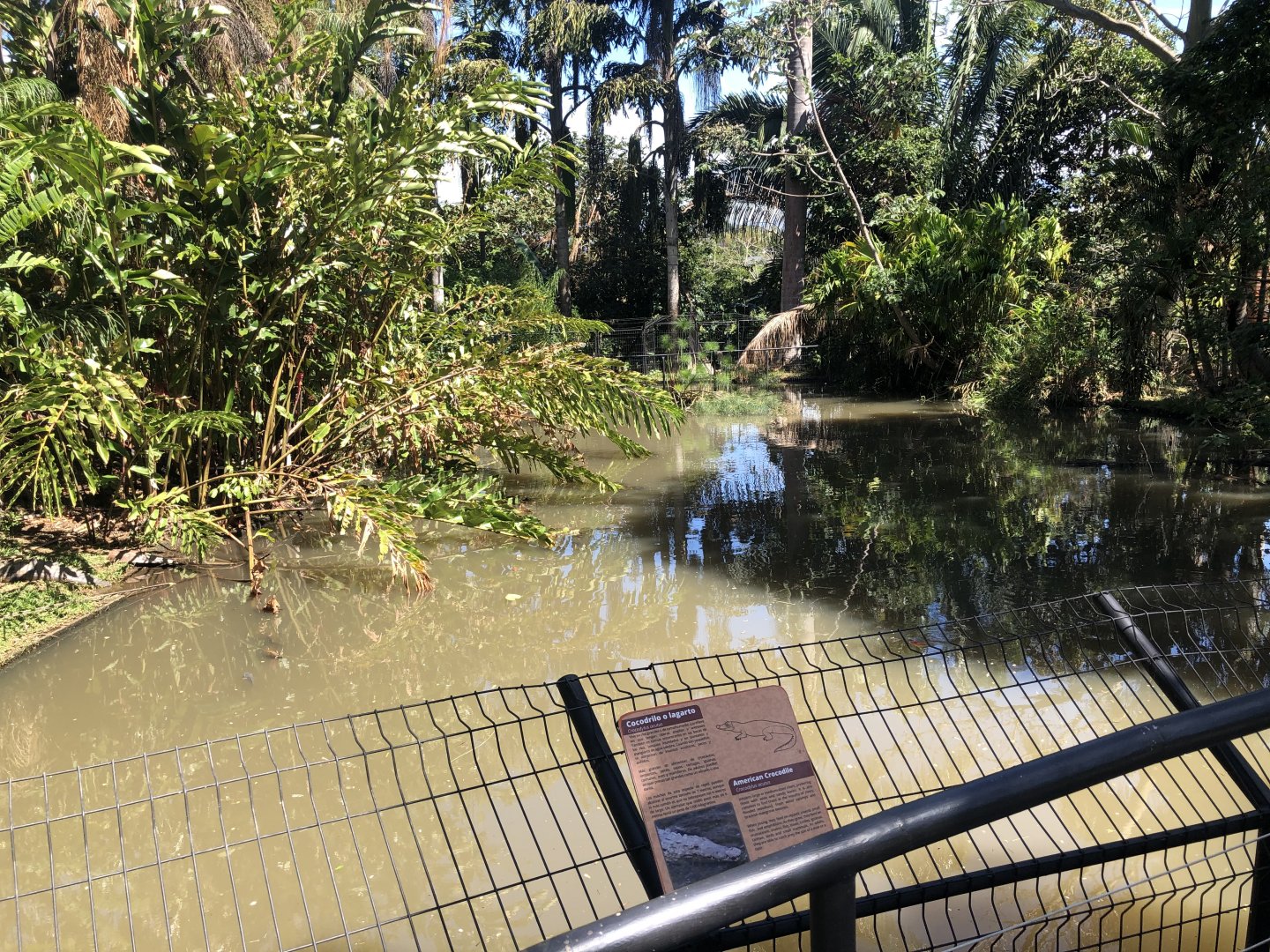 American Crocodile Enclosure
