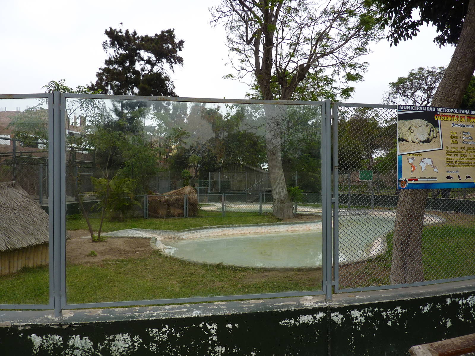 American Crocodile enclosures