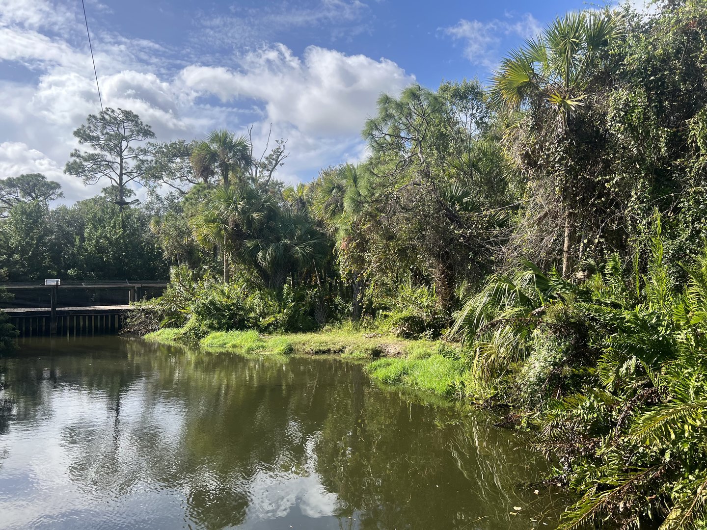 American Crocodile Exhibit