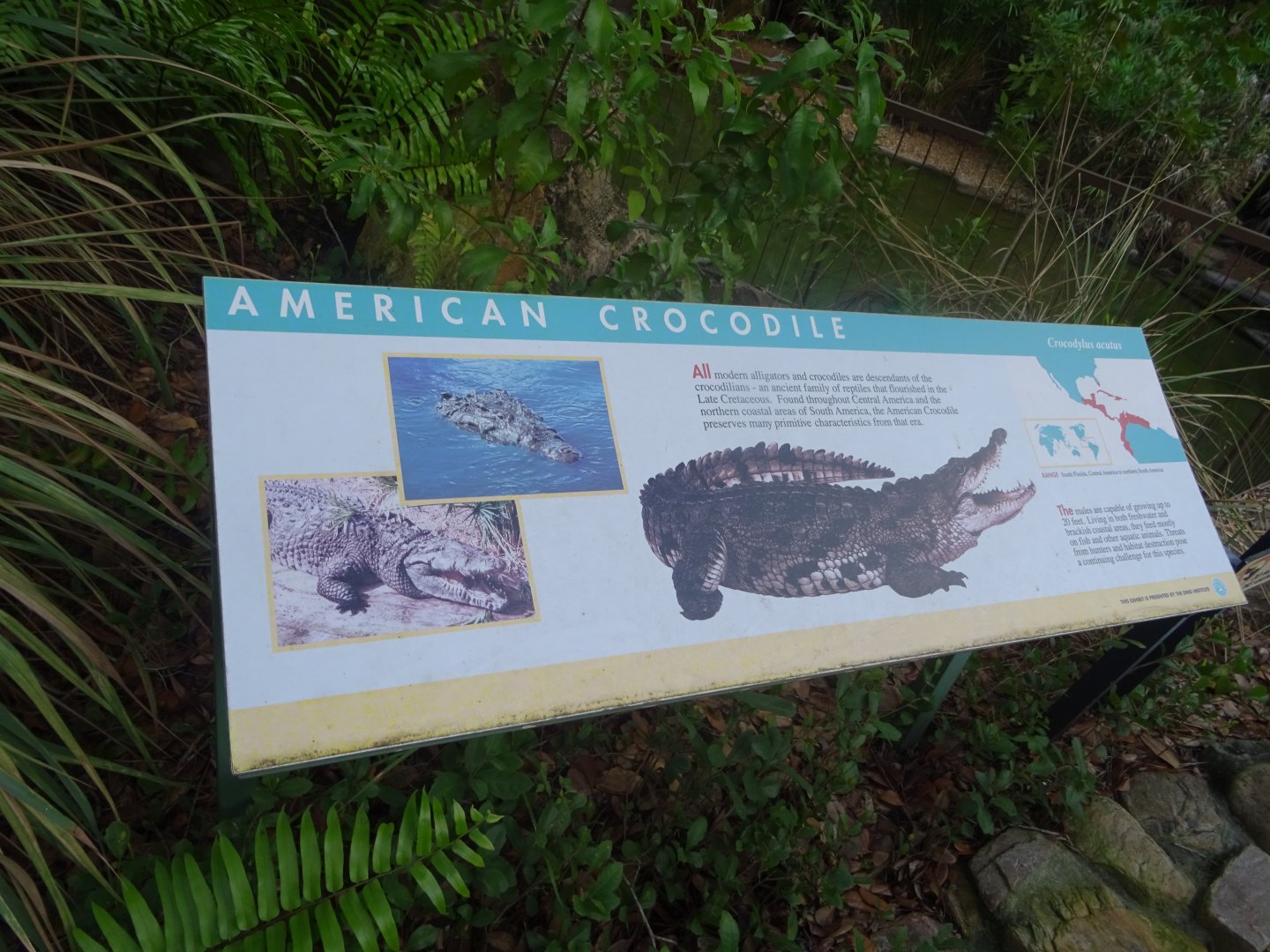 American Crocodile Signage at Disney's Animal Kingdom (2014)