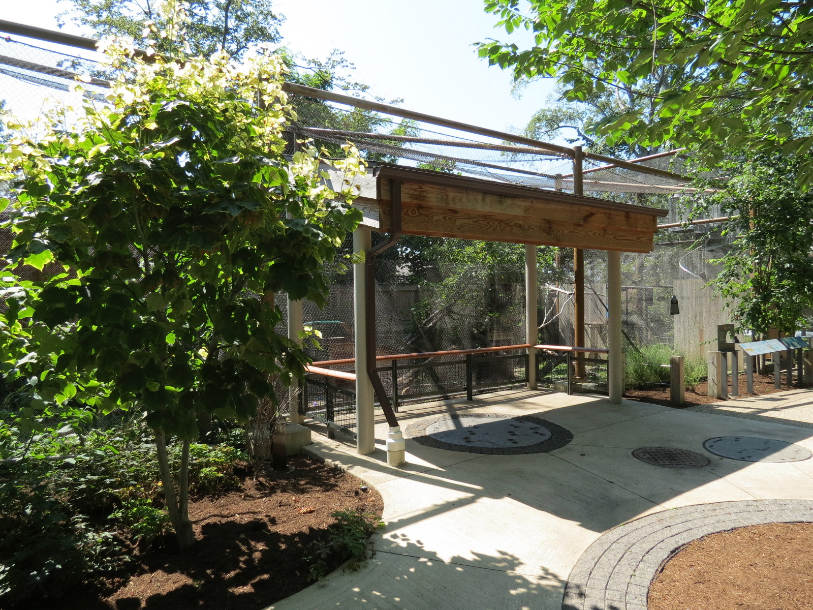 American Crow and Turkey Vulture Exhibit